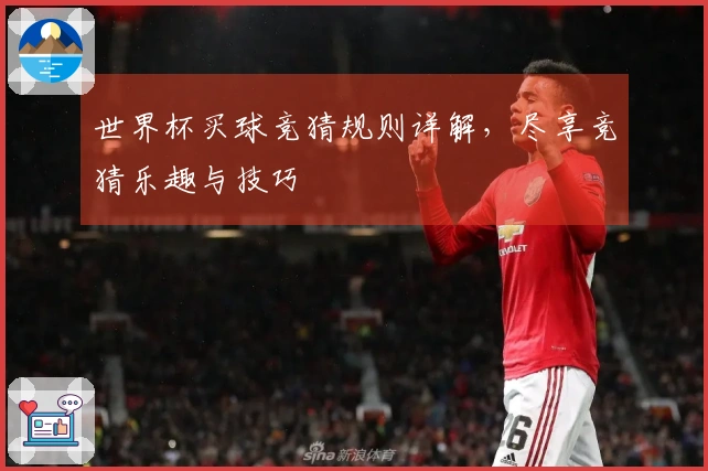 世界杯买球竞猜规则详解，尽享竞猜乐趣与技巧