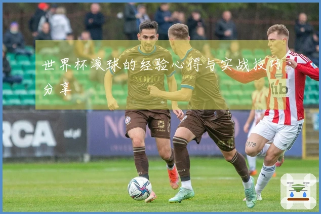 世界杯滚球的经验心得与实战技巧分享