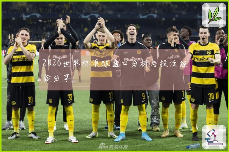 2026世界杯滚球盘口分析与投注经验分享