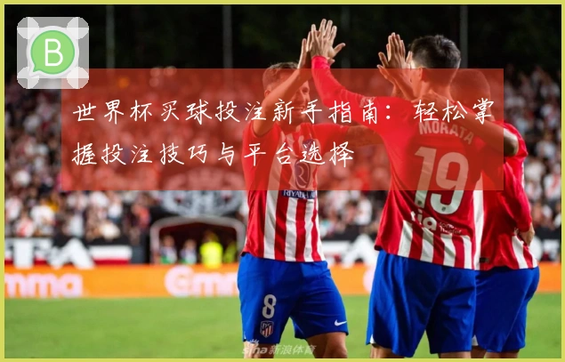 世界杯买球投注新手指南：轻松掌握投注技巧与平台选择