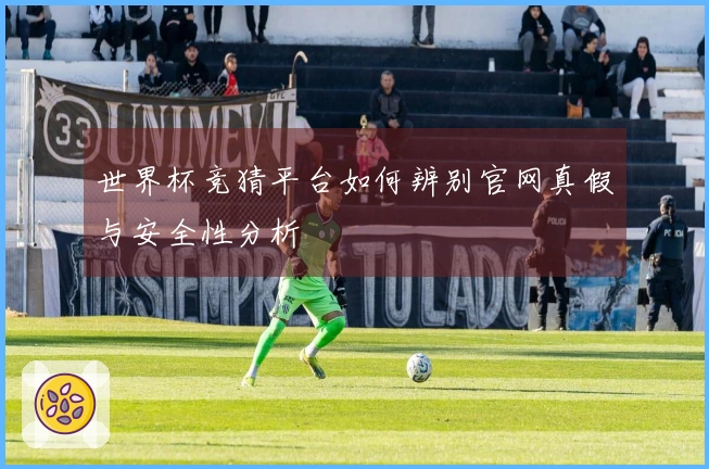 世界杯竞猜平台如何辨别官网真假与安全性分析
