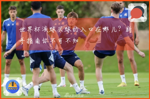 世界杯滚球买球的入口在哪儿？新手指南你不可不知