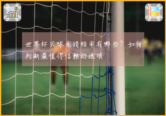 世界杯买球竞猜赔率有哪些？如何判断最值得信赖的选项