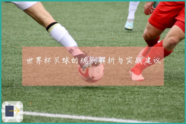 世界杯买球的规则解析与实战建议