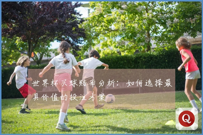 世界杯买球赔率分析：如何选择最具价值的投注方案