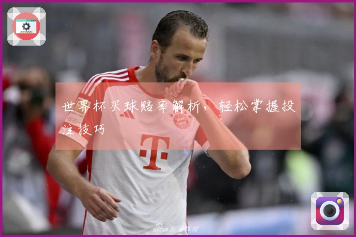 世界杯买球赔率解析，轻松掌握投注技巧