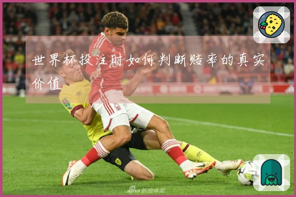 世界杯投注时如何判断赔率的真实价值