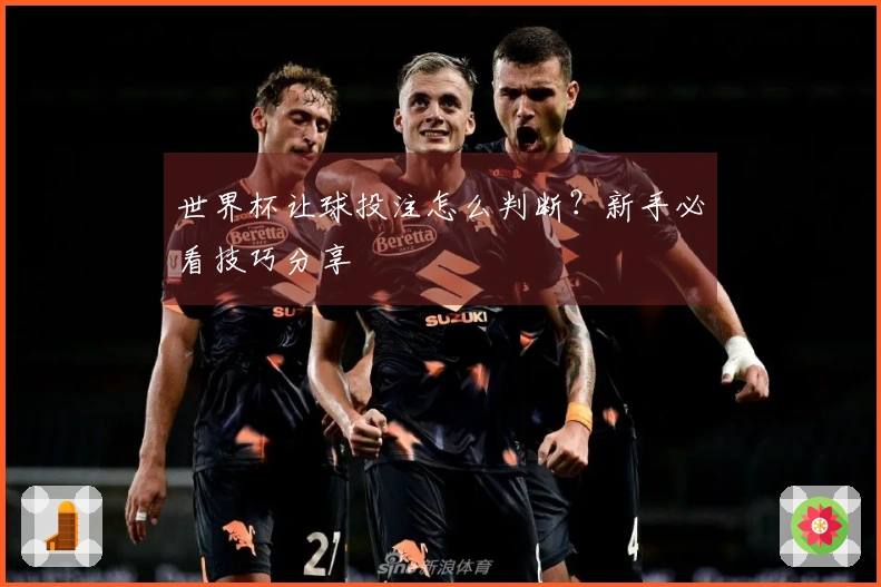 世界杯让球投注怎么判断？新手必看技巧分享