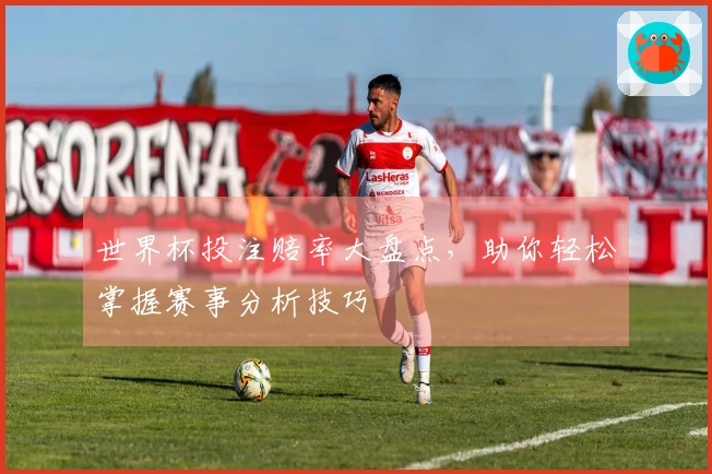 世界杯投注赔率大盘点，助你轻松掌握赛事分析技巧