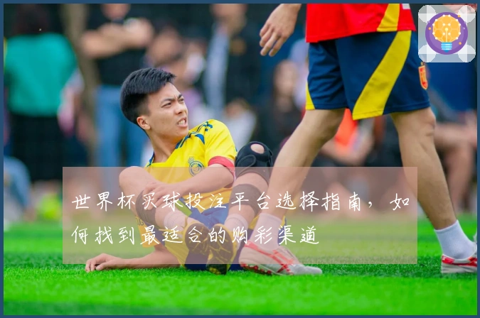 世界杯买球投注平台选择指南，如何找到最适合的购彩渠道
