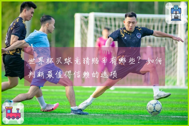 世界杯买球竞猜赔率有哪些？如何判断最值得信赖的选项
