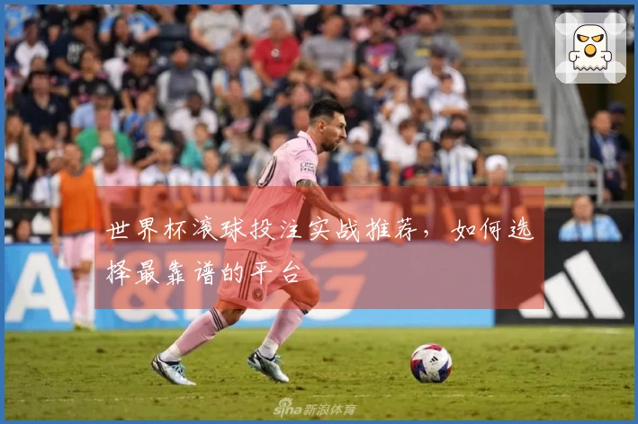 世界杯滚球投注实战推荐，如何选择最靠谱的平台