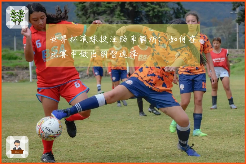 世界杯滚球投注赔率解析：如何在比赛中做出明智选择