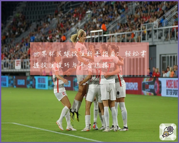 世界杯买球投注新手指南：轻松掌握投注技巧与平台选择