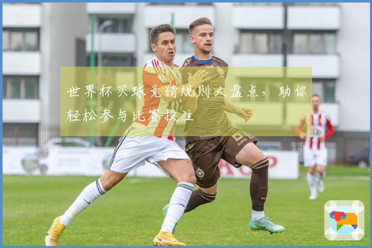 世界杯买球竞猜规则大盘点，助你轻松参与比赛投注