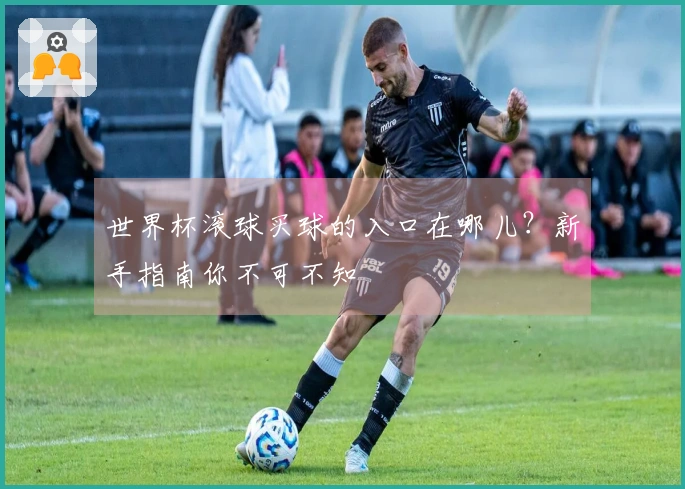 世界杯滚球买球的入口在哪儿？新手指南你不可不知