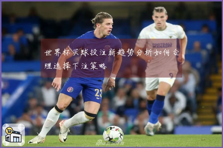 世界杯买球投注新趋势分析如何合理选择下注策略