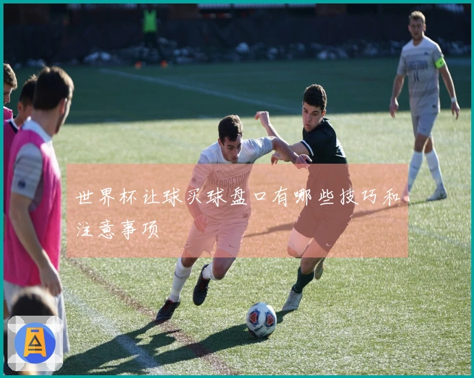 世界杯让球买球盘口有哪些技巧和注意事项