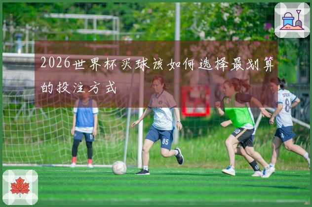 2026世界杯买球该如何选择最划算的投注方式