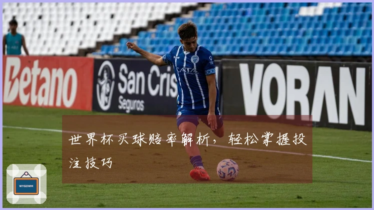 世界杯买球赔率解析，轻松掌握投注技巧