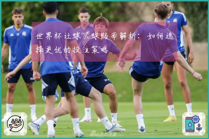 世界杯让球买球赔率解析：如何选择更优的投注策略